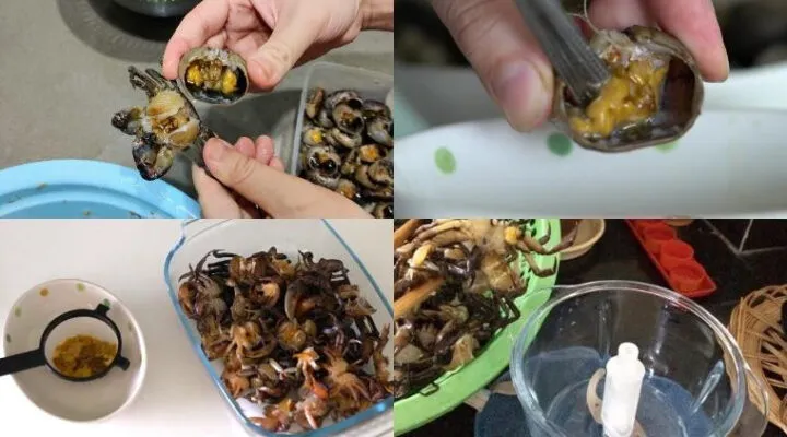 Cua đồng tươi sống chuẩn bị cho món bún riêu cua dấm bỗng