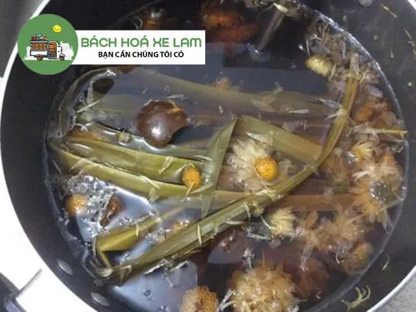 Cách nấu sâm bông cúc thục địa