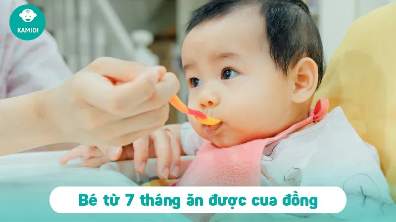 Hình ảnh một tô cháo cua đồng cho bé ăn dặm hấp dẫn