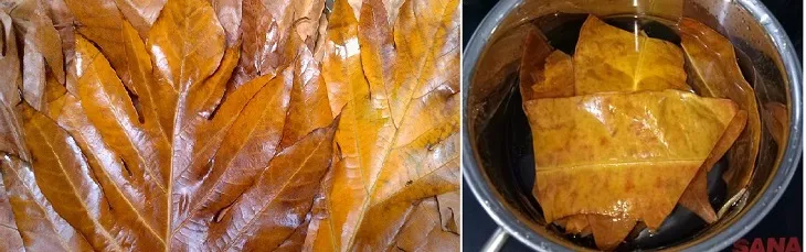 Nấu nước lá sake