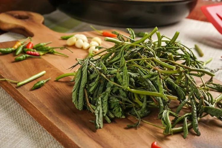Đĩa rau rút tươi ngon, loại rau đặc trưng khi thưởng thức lẩu gà lá giang