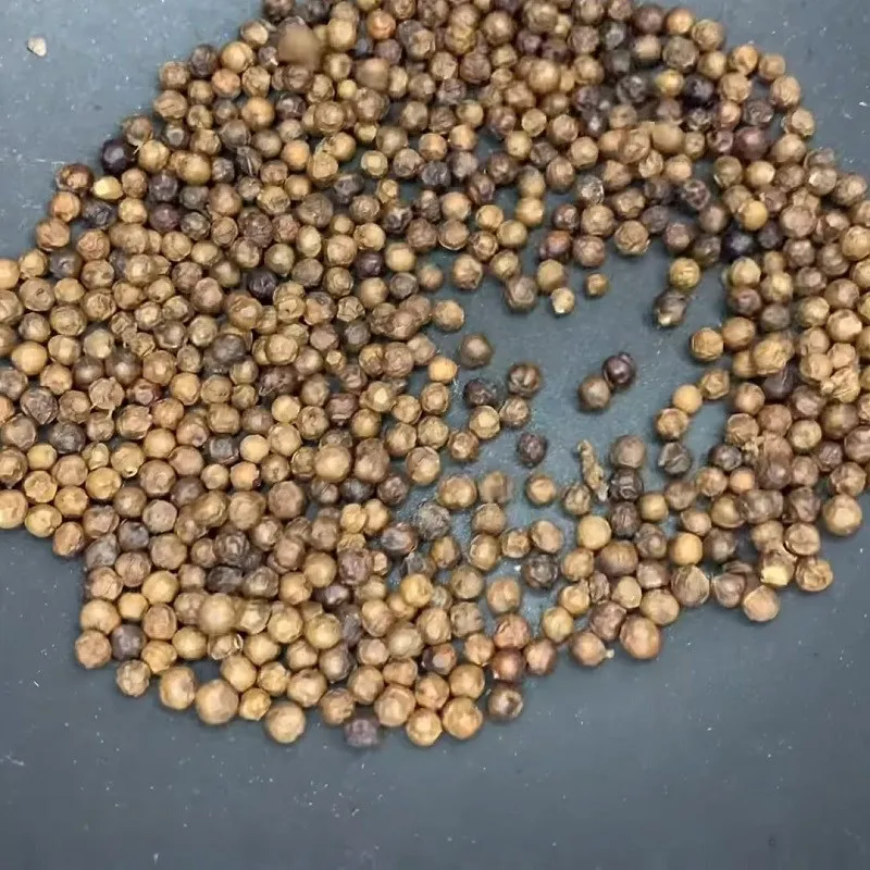 Hình ảnh các hạt tiêu đen, tiêu xanh và hành tím nướng được cho vào nồi nước