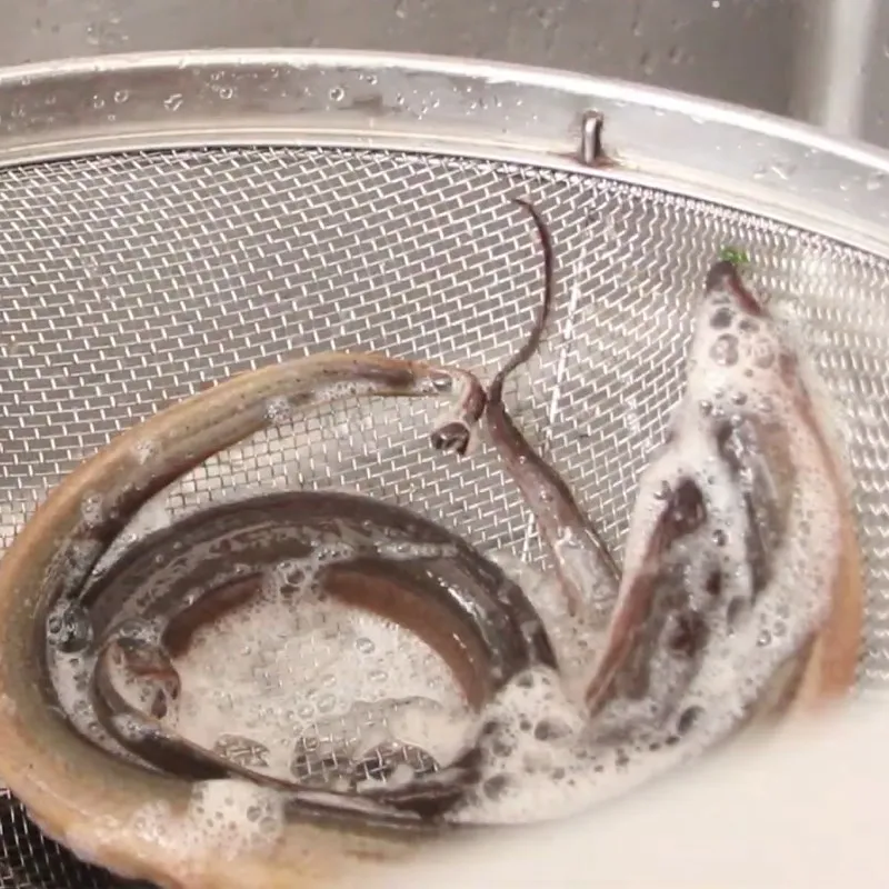 Các bước sơ chế và luộc lươn đúng cách nấu súp lươn ngon