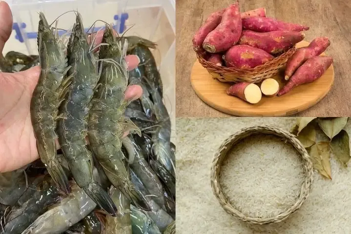 Giải đáp thắc mắc tôm nấu với khoai lang được không cho bé ăn dặm