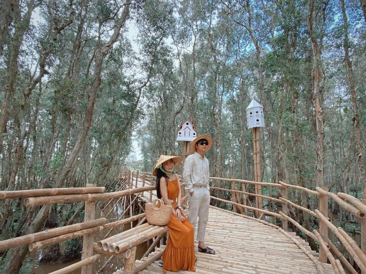 Toàn cảnh Rừng Tràm Trà Sư nhìn từ đài quan sát