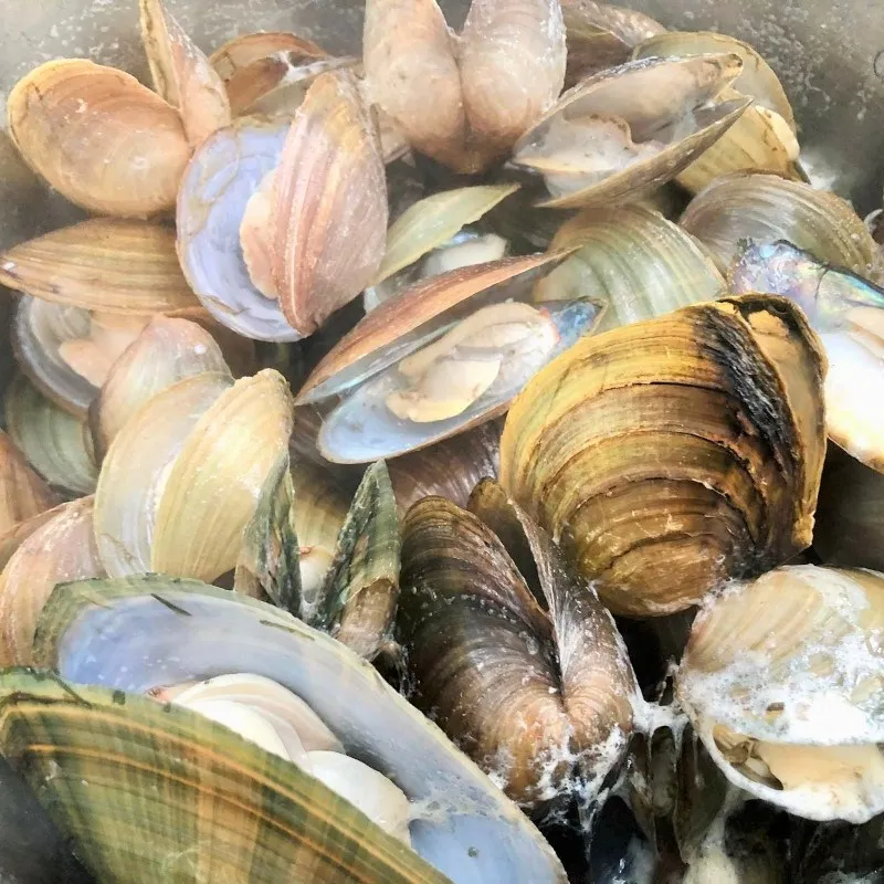 Trai tươi được ngâm sạch trong nước chanh và ớt hiểm