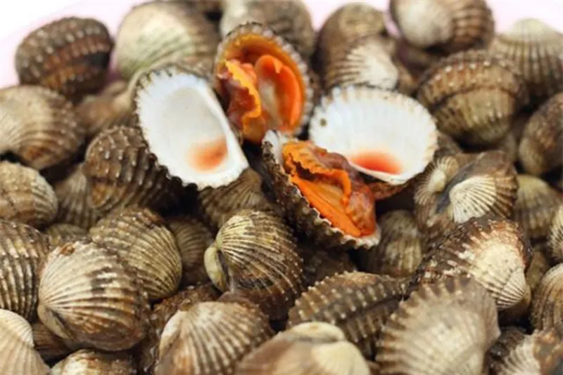 Sò huyết đầm Ô Loan