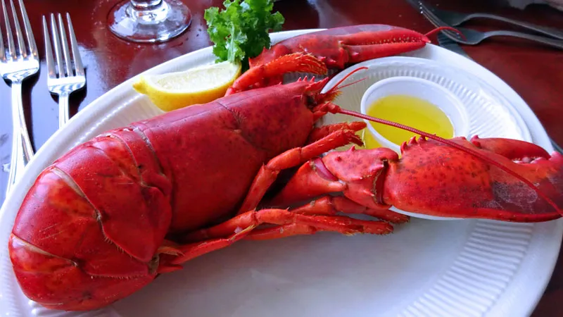 Bí quyết làm tôm hùm hấp bia ngọt thịt và tươi ngon