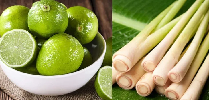 Nguyên liệu món ăn nước chanh sả gừng