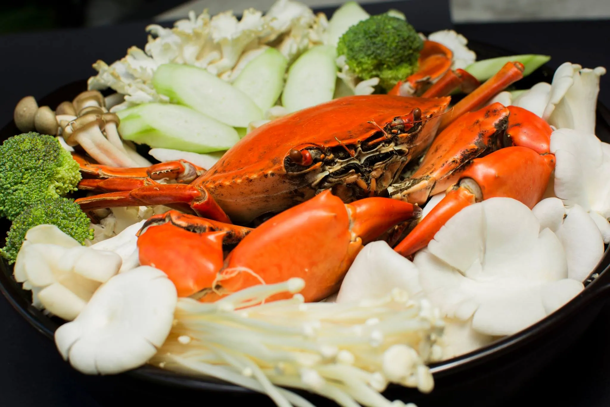 Maria Saigon - Không gian ẩm thực hải sản tinh tế tại trung tâm Quận 3