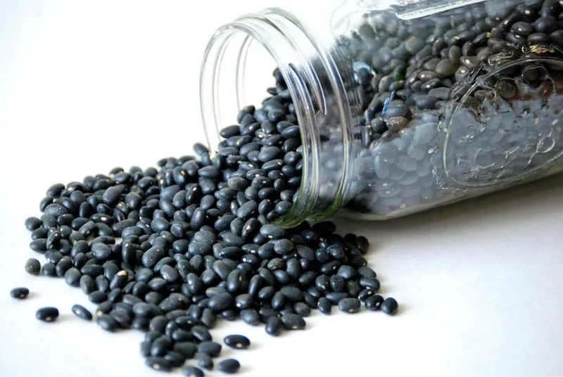 Đậu đen tươi có màu sắc bóng bẩy