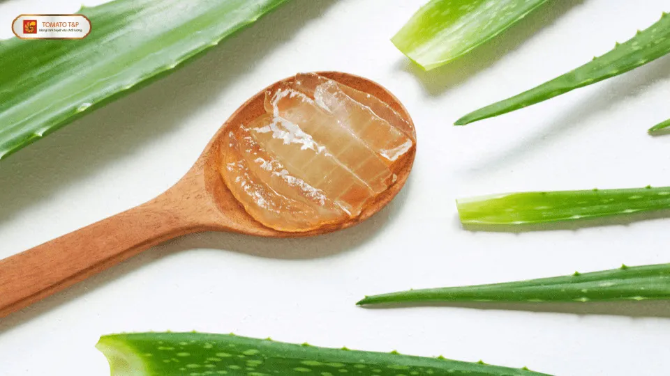 Nguyên liệu làm sữa chua nha đam