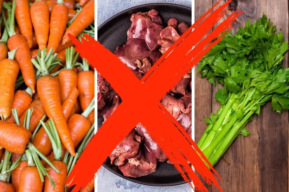 những món kỵ nhau cho bé ăn dặm