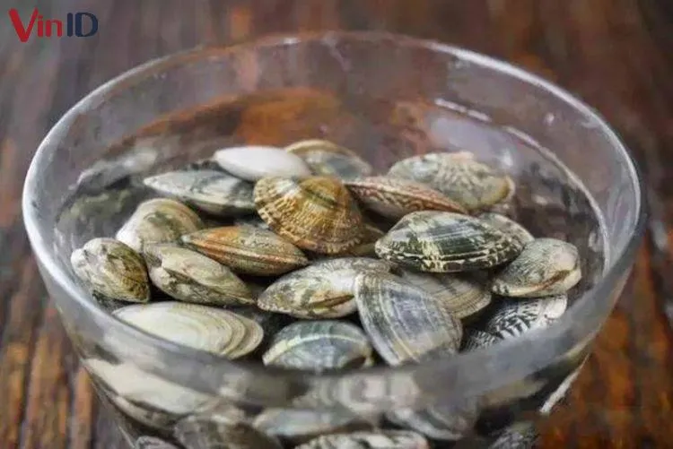 Cách sơ chế nghêu sạch cát cho nồi lẩu kim chi thơm ngon