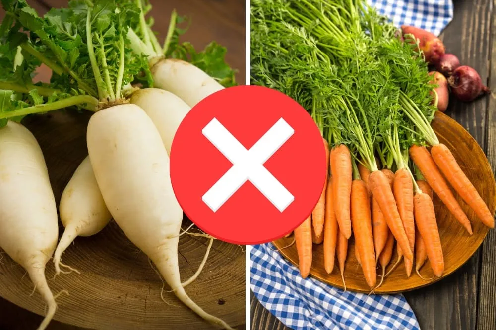 những món kỵ nhau cho bé ăn dặm