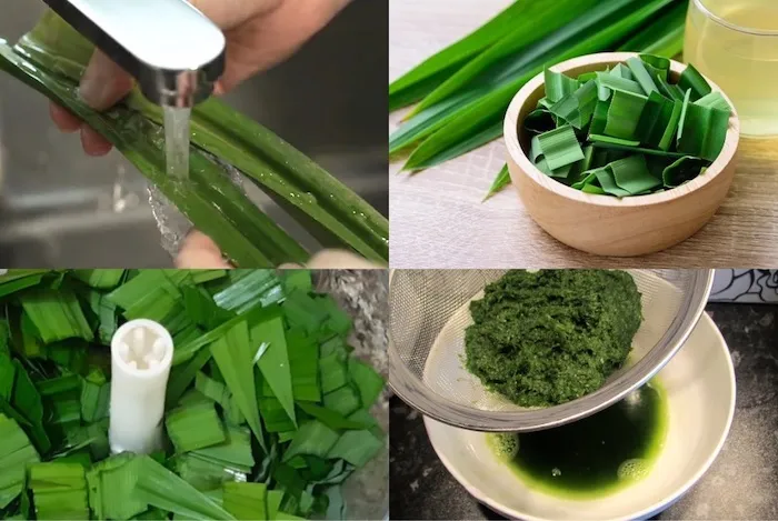 Bước sơ chế lá dứa để lấy nước cốt tạo màu xanh tự nhiên cho xôi lá dứa