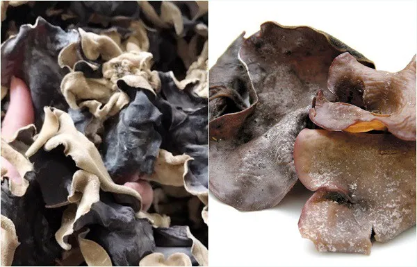 Chọn mộc nhĩ màu đen, khô ráo và có độ đàn hồi tốt