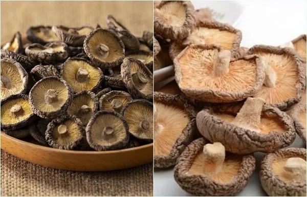 Nấm hương có màu trắng hoặc vàng trên mặt tán là nấm ngon