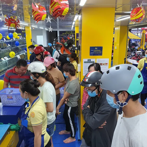 Bể nuôi hải sản tươi sống tại Hải sản Hoàng Gia Hà Nội