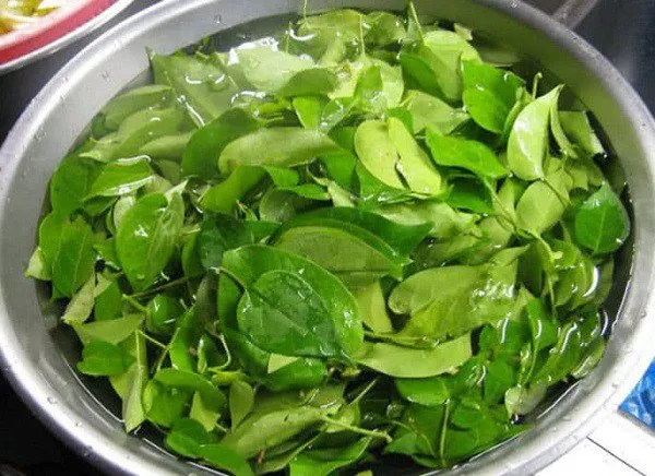 Sơ chế lá giang đúng cách