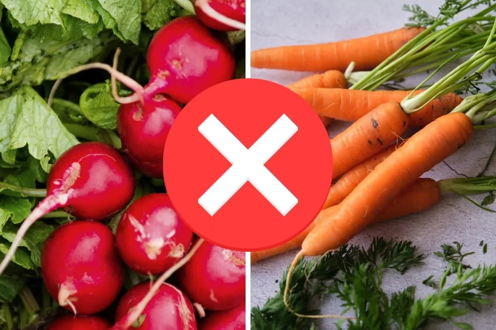 những món kỵ nhau cho bé ăn dặm