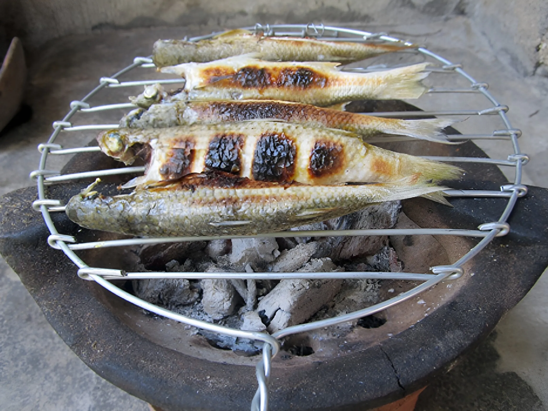 Cá đối nướng mọi vàng giòn thơm phức