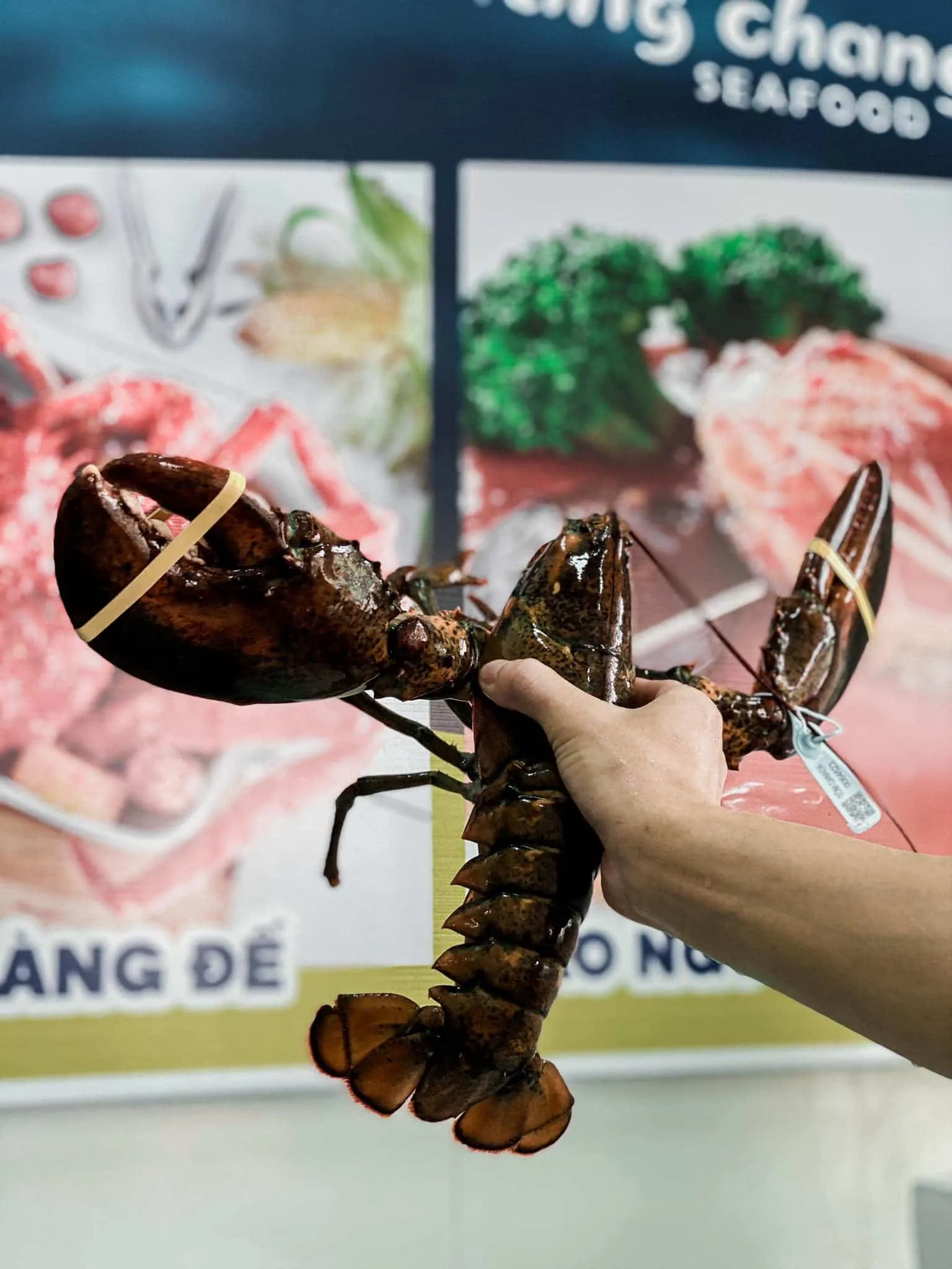 Hải sản tươi sống tại bể nuôi Chang Chang Seafood