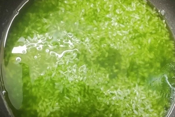 Ngâm gạo nếp với nước cốt lá dứa để xôi có màu xanh đẹp và hương thơm tự nhiên