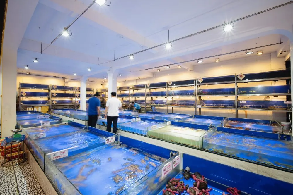 Không gian nhà hàng For You