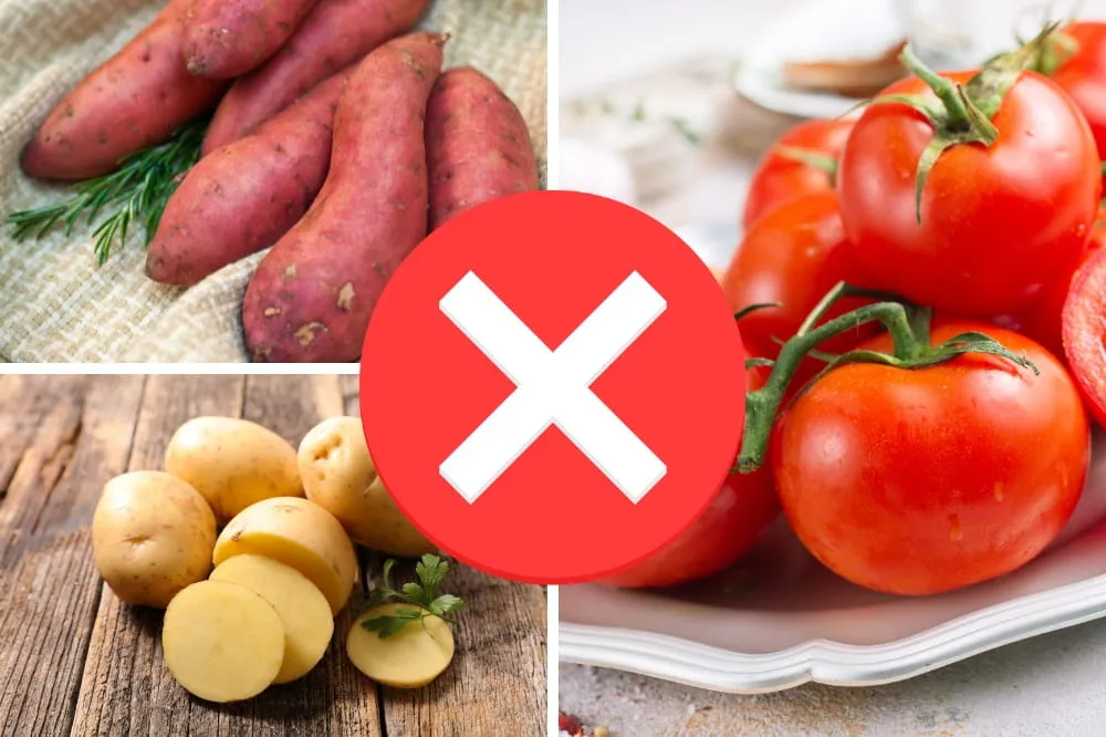 những món kỵ nhau cho bé ăn dặm