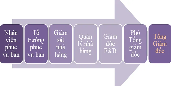 Bản đồ lộ trình thăng tiến rõ ràng cho những ai theo đuổi con đường chuyên nghiệp