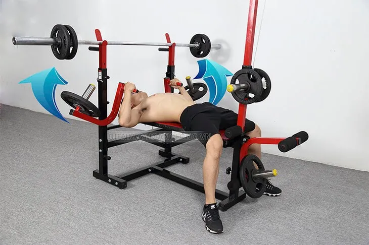 Ghế tập tạ giúp người tập có thể hình mong ước