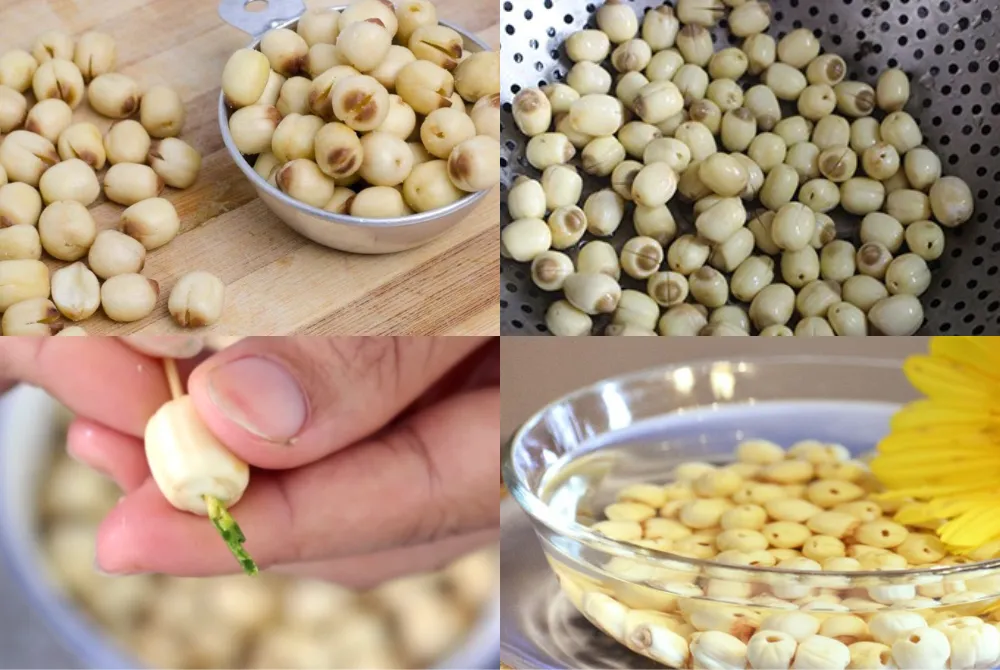 Các bước sơ chế hạt sen tươi đúng cách