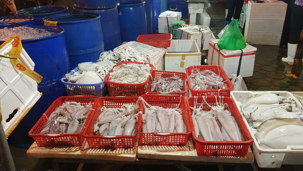 Chợ hải sản Nhơn Lý với hải sản tươi ngon từ biển