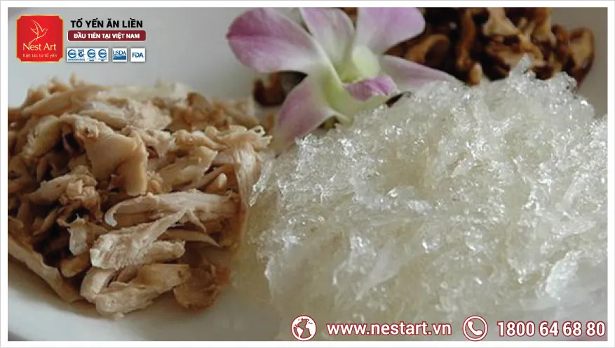 Chế biến tổ yến với gà