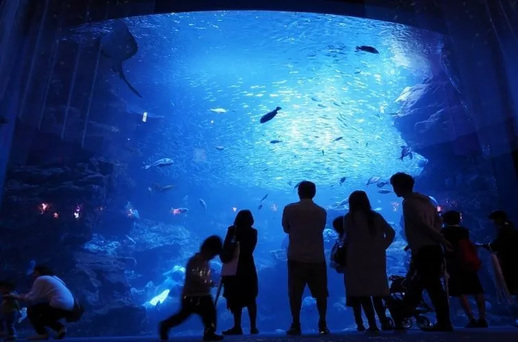 Hình ảnh thịt bò Kobe nguyên khối với vân mỡ cẩm thạch đặc trưng