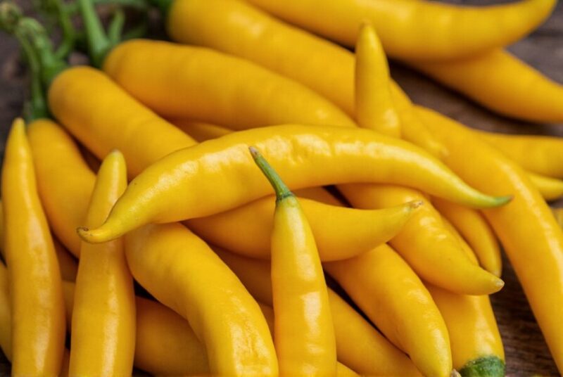 Hướng Dẫn Nấu Lẩu Thái Tom Yum Chua Cay Đậm Đà Chuẩn Vị Tại Nhà