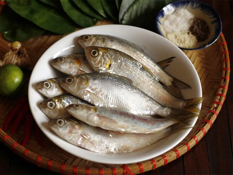 Ăn cá mòi có tốt không