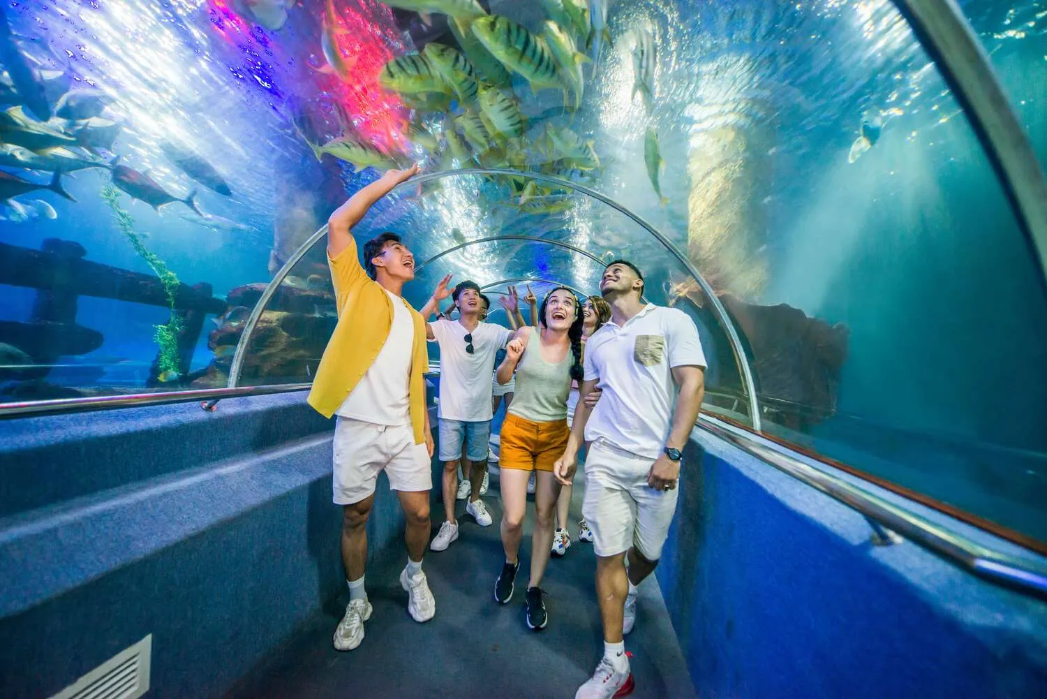 Khám phá thế giới đại dương