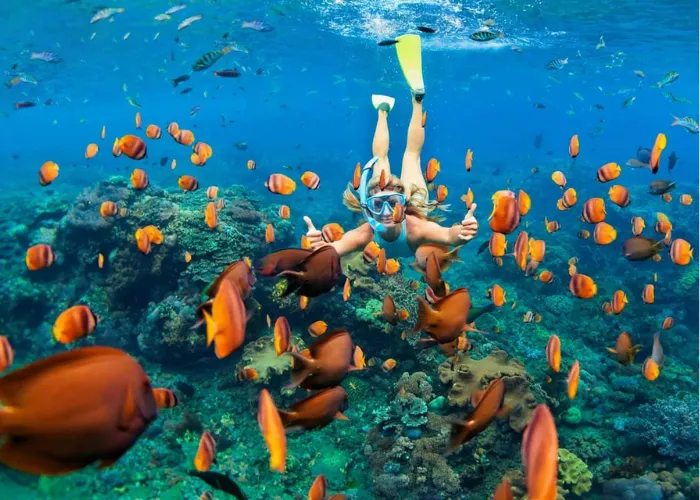 Trải nghiệm lặn biển tại quần đảo An Thới