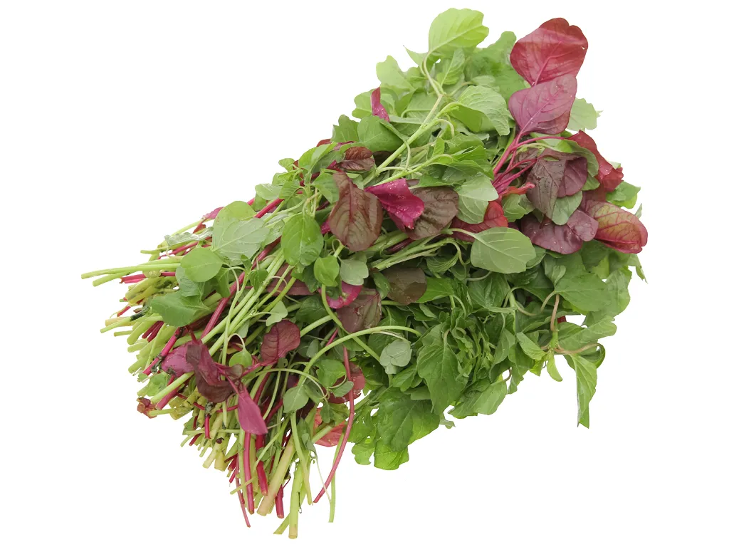 Axit Folic trong rau dền rất quan trọng cho sự phát triển sớm của thai nhi