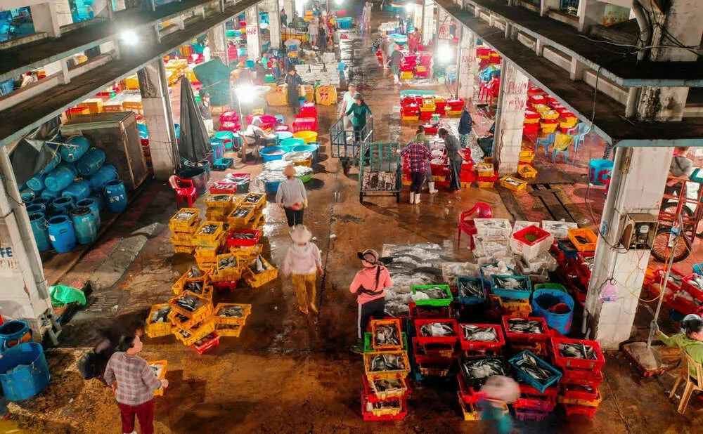 Tàu thuyền cập bến tại cảng cá Hàm Tử, hải sản được bốc dỡ trực tiếp