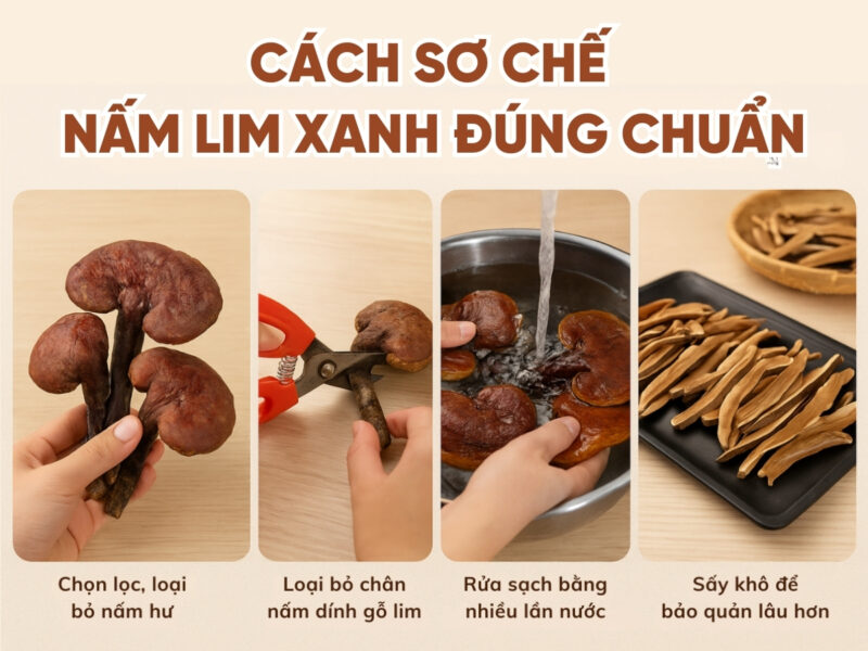 Cách Nấu Nấm Lim Xanh Để Uống: Bí Quyết Tăng Cường Sức Khỏe Toàn Diện