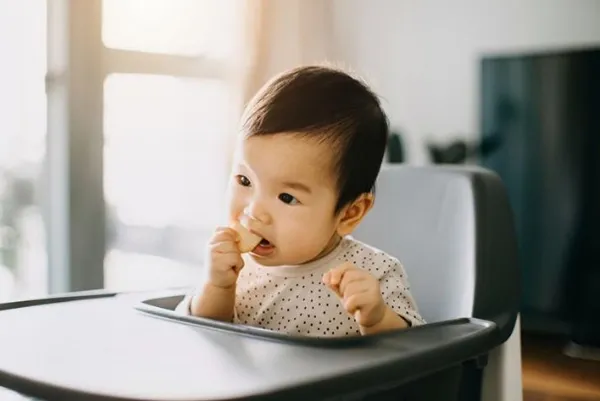 bánh ăn dặm cho bé 6 tháng