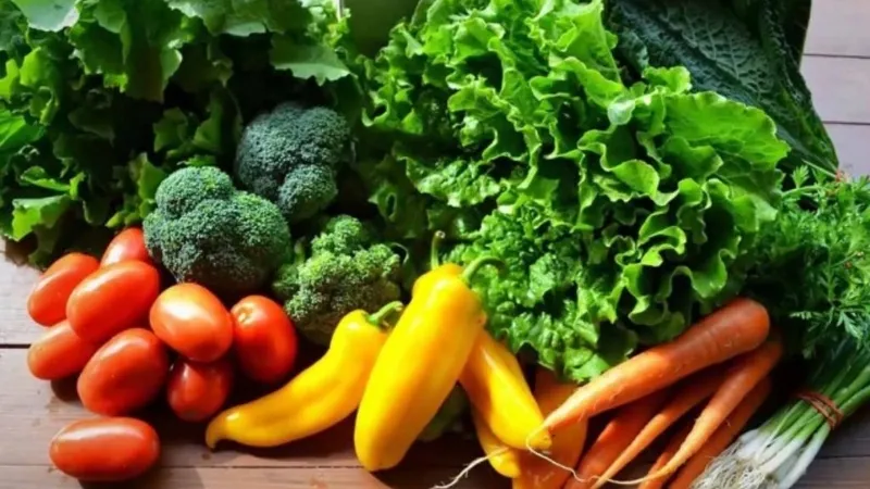 Bá»‹ thuá»· Ä'áº­u Äƒn thá»‹t bÃ² Ä'Æ°á»£c khÃ´ng? Bá»‹ thuá»· Ä'áº­u nÃªn Äƒn gÃ¬ cho tá»'t? 3