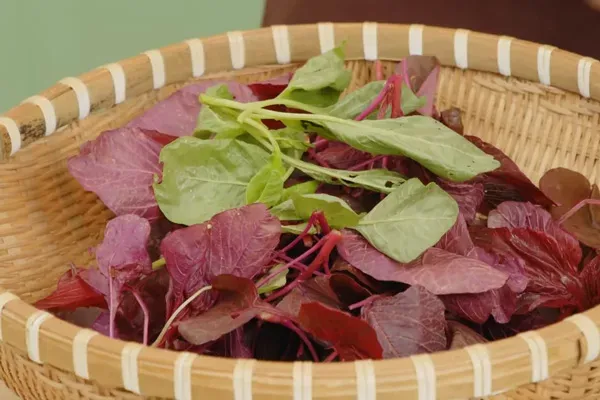 Rau den tuoi ngon sau khi so che