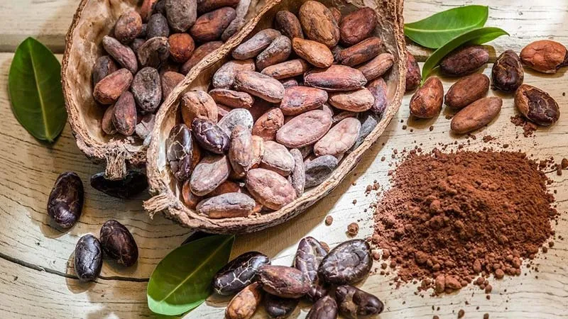 Cách nấu sáp wax lông tại nhà bằng bột cacao và chanh