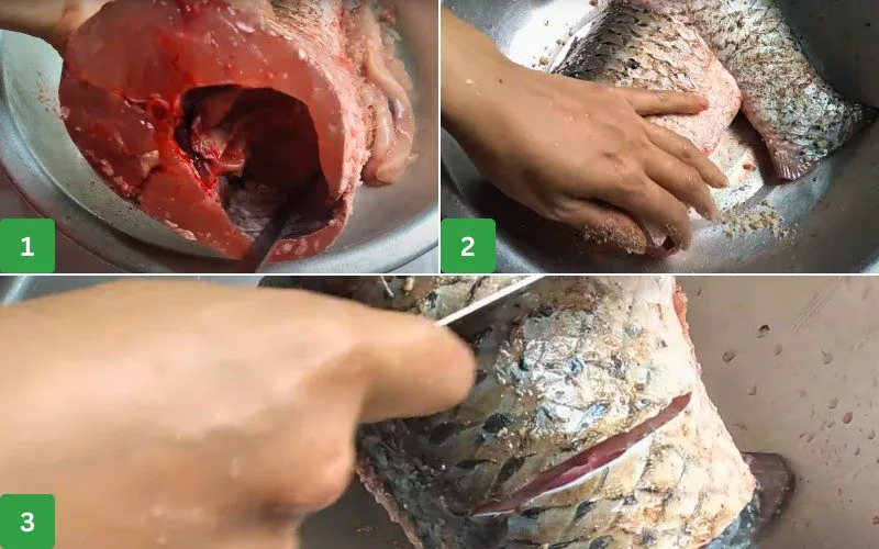 Sơ chế cá tươi sống đúng cách để loại bỏ hoàn toàn mùi tanh khó chịu