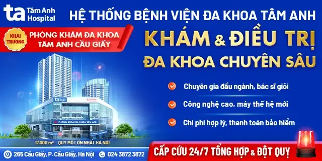 Collagen Có Nhiều Trong Thực Phẩm Nào?