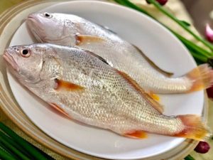 Cá Lanh Làm Món Gì Ngon? Khám Phá Hương Vị Biển Cả Đậm Đà